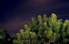 Bangalô Doce lar - Foto 48