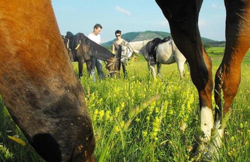 Apartment in Rakovica with Terrace, Air conditioning, Wifi (601-1) - Foto 23