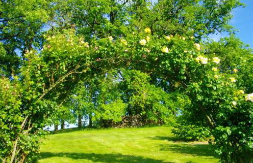 Appartement avec piscine à Montpezat-de-Quercy 40 m² - Foto 21