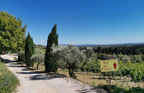 Mas du Tilleul - Foto 13