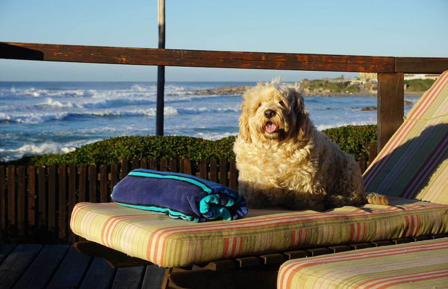 Whaleback Cottage - Foto 40