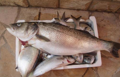 Holiday Home By The Sea--Bougainvillea - Foto 36