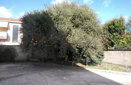 appartamenti olivo - Photo 6