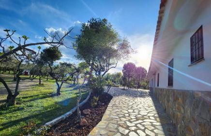 Agroturismo Viña Inés Toledo - Photo 76