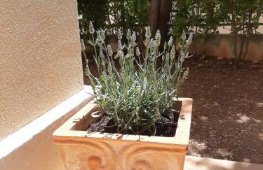 Kuća za odmor Lavanda - Photo 5