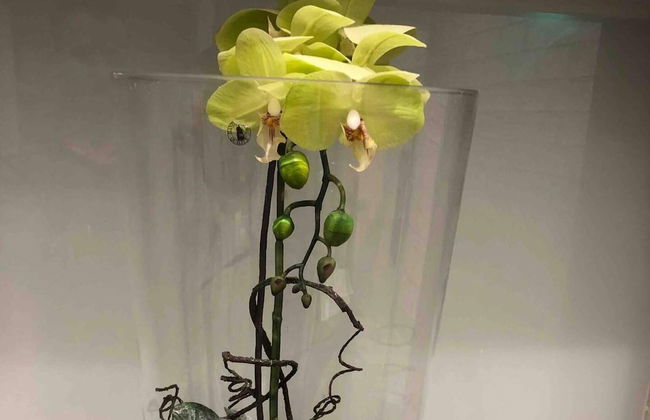 Remarkable Apartment Near London Tower Bridge - Foto 37