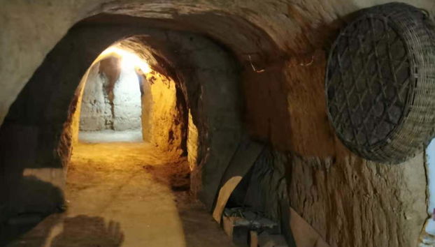 Xi'an Terracotta Army & Cave Dwellings Private Tour - Photo 5