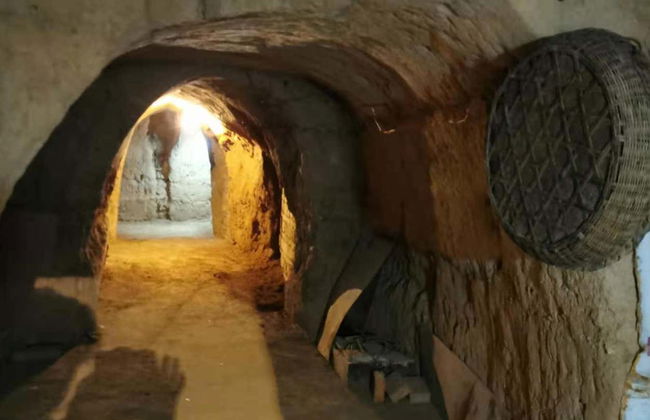 Xi'an Terracotta Army & Cave Dwellings Private Tour - Photo 5