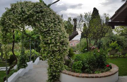 Gina Studios - Foto 23