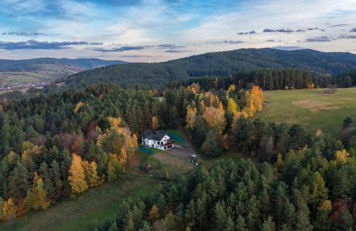 Leśna Rezydencja - Foto 6