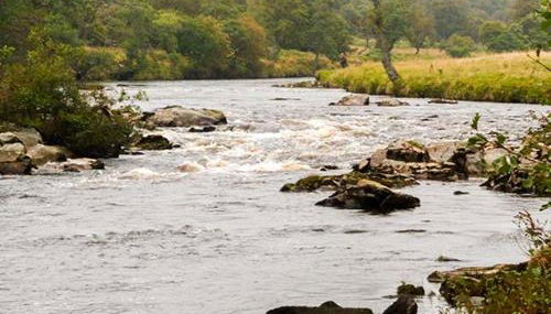 The Auld Kirk - Foto 3