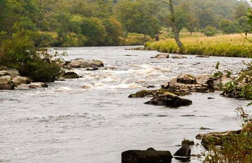 The Auld Kirk - Foto 3