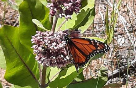 Bayview #1 - Foto 40