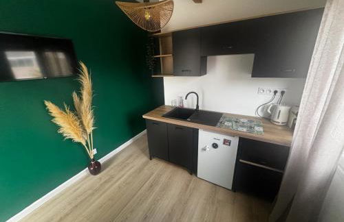 Résidence de tourisme Sous Les Pins - Foto 17