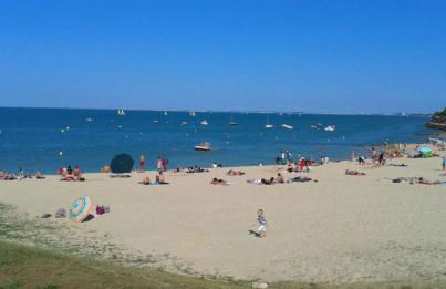 Studio Carline - Photo 14