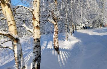 Beskidzka Ostoja - Foto 74