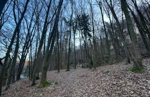 Erholung in der Freiheit - Photo 22