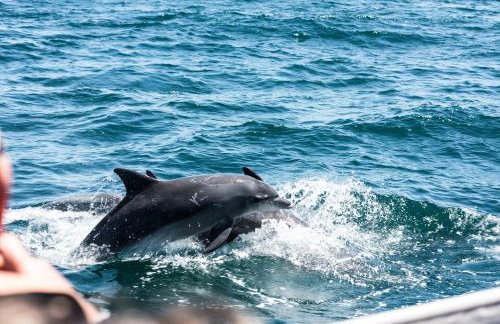 Modern Oceanview - Foto 25