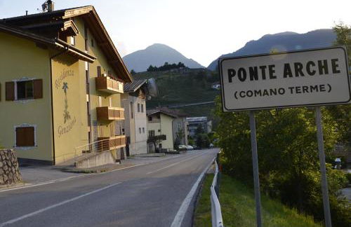 Genziana Green o Blue - Foto 4