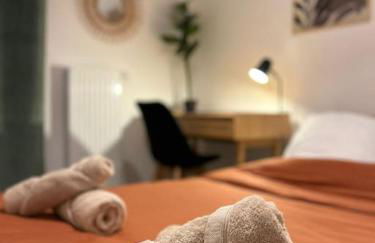 T3 Moderne - Proche tram - Parking privé - Foto 9