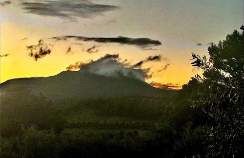 Casa Rural Cortijo La Ajedrea - Foto 51