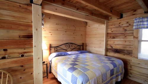 Spacious Cabin Rental with a Hot Tub near the Gauley River in West Virginia - Foto 4