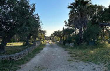 La Petraia - Foto 13