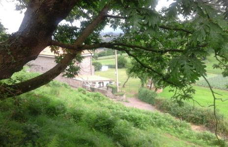 Casa Narzana - Foto 25