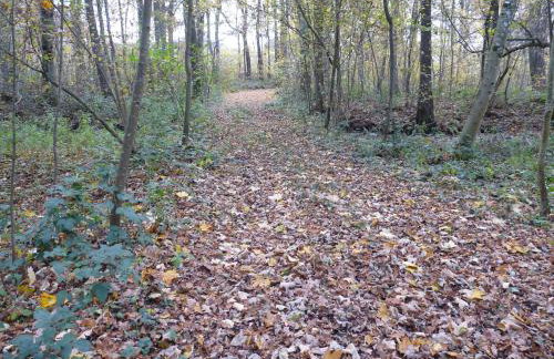 Gite des étangs de Saint Bale - Foto 51