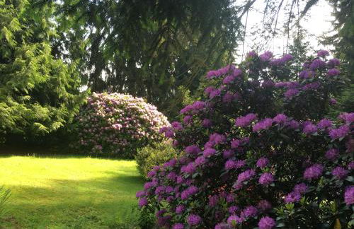 Villa Elfenstein - Foto 9