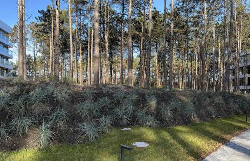 Shelter Luxury Apartament - Foto 69