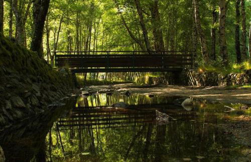 Dona Irene AL - Foto 42