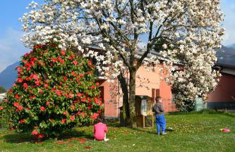 La Gallina - Foto 22