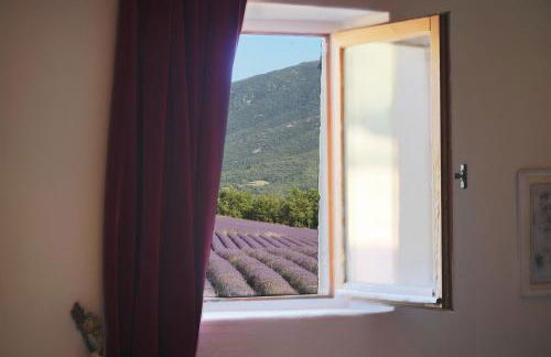 Mas des Baussiers - Foto 42