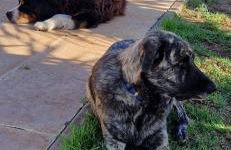 Monte Malk Abran - Foto 20