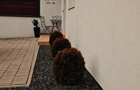 Mella holiday home - Foto 5