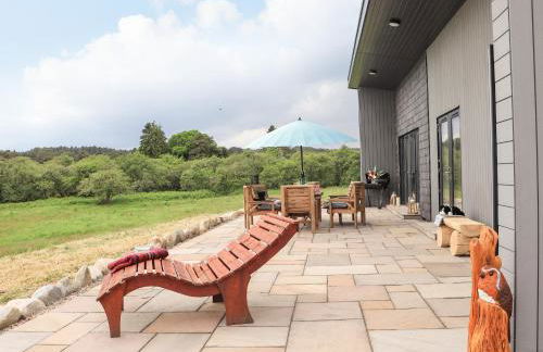 Pine Marten - Foto 1