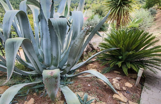 Country House With Swimming Pool and Garden With Mediterranean Plants - Foto 54
