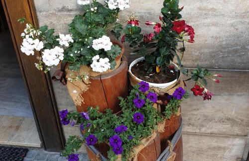 Casa Tiziano e Nila - Photo 6