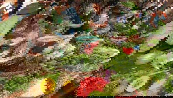 Tour en bicicleta por el paso de Da Lat - Foto 5