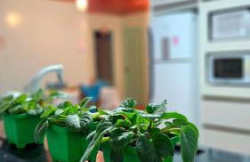 Casa de Temporada Doce Luar - Foto 20