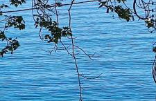 Villa Kiki by the beach! - Foto 27