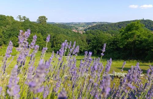 HillTop House - Foto 47