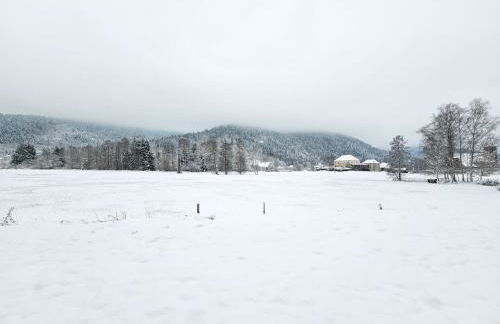 Maison au pied des 1000 étangs - Foto 59