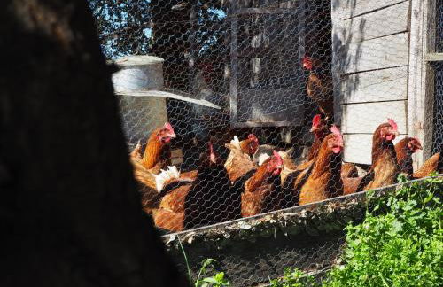 Mas Cal Sastre - Foto 45