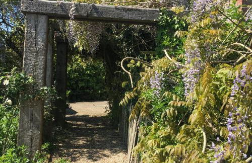 Lark - Ukc6105 - Photo 7