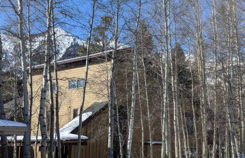 Beautiful Mountain Condo - Foto 14