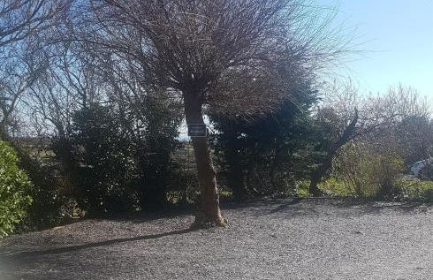 Mountain View Apartment - short drive to beaches - Foto 10