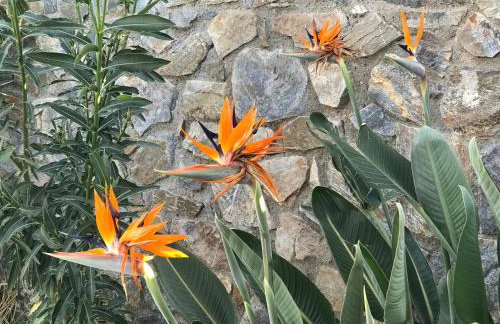 VILLA ASTERAKI private pool, magic sunsets, near Elafonisi - Foto 33