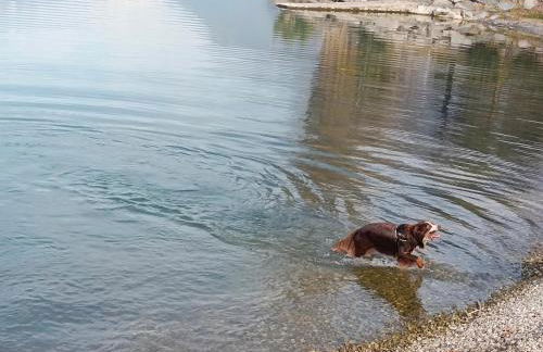 Tra lago e montagne home nonna Maria - Foto 66